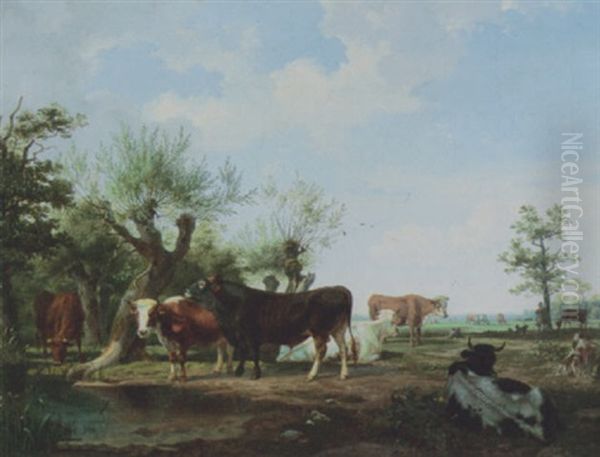 Kuhe Und Stier Auf Der Weide - view 1