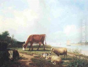 Weidende Tiere Am Flusufer Weidende Tiere Am Flusufer