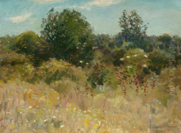 Our Back Yard When I Was Young, 1919 - view 1