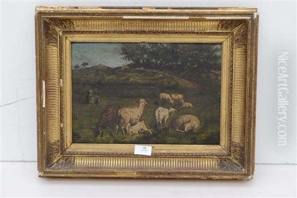 Moutons - view 1