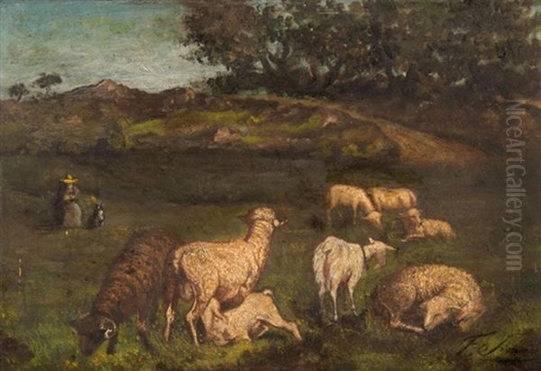 Moutons - view 1