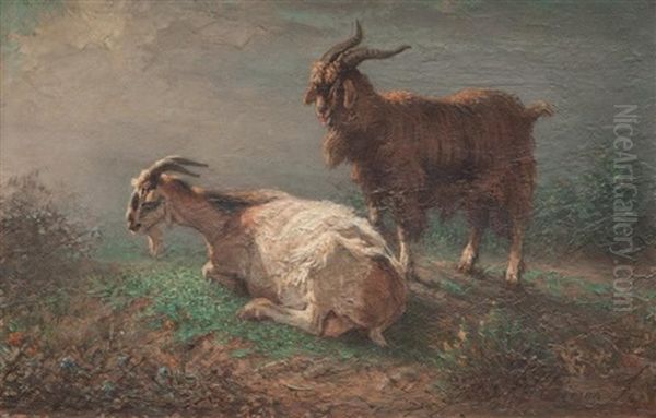 Bouc Et Chevre - view 1