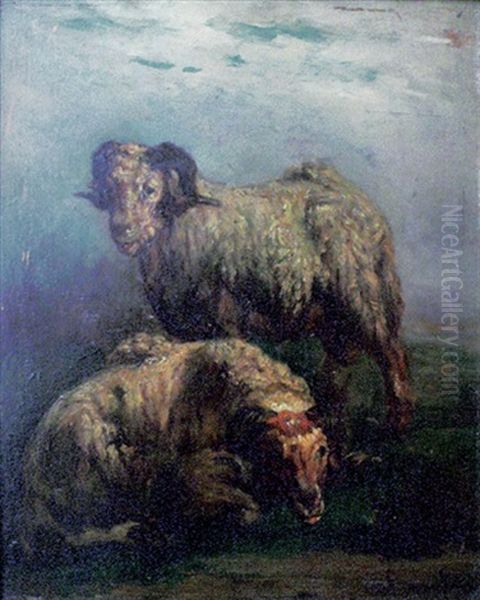 Les Moutons - view 1