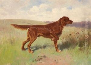Irish Setter On Point