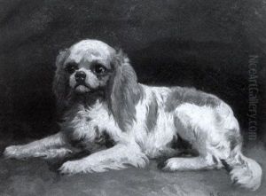 Cavalier King Charles Spaniel by Herman Gustav Simon