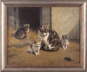 Cats Cats