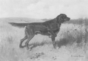 Irish Setter On Point by Hermann Gustave Simon