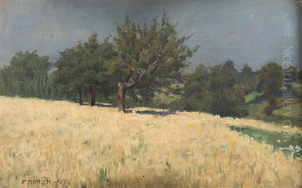 Summer Landscape - view 1