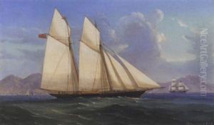 A Schooner Of The Royal Alfred Yacht Club Under Full Sail In The Mediterranean Off The North African Coast by Tommaso de Simone