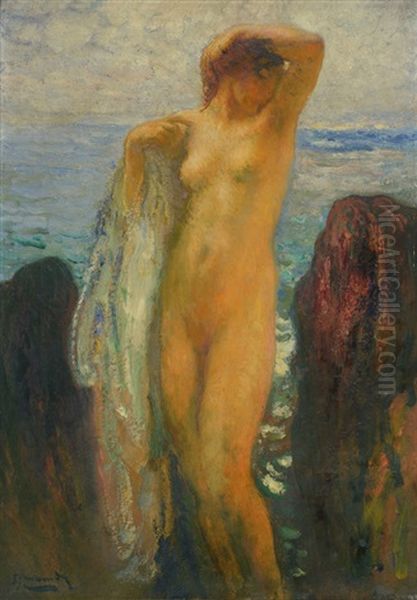 Desnudo En Las Rocas - view 1