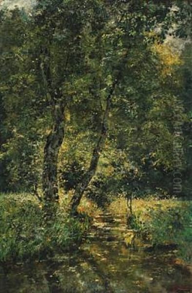 Summer Forest With Stream - view 1