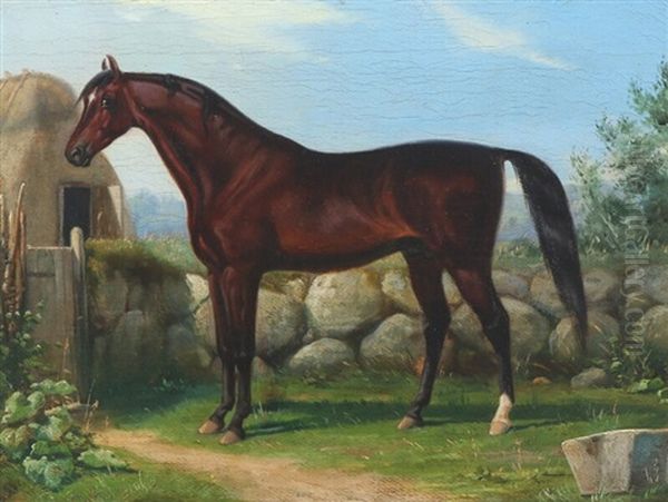 En Hingst Fra Stutteriet Ved Frederiksborg - view 1