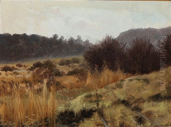 View From Ordrup Bog - view 1
