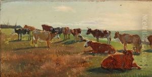 A Dozen Cows On A Field by Simon Simonsen