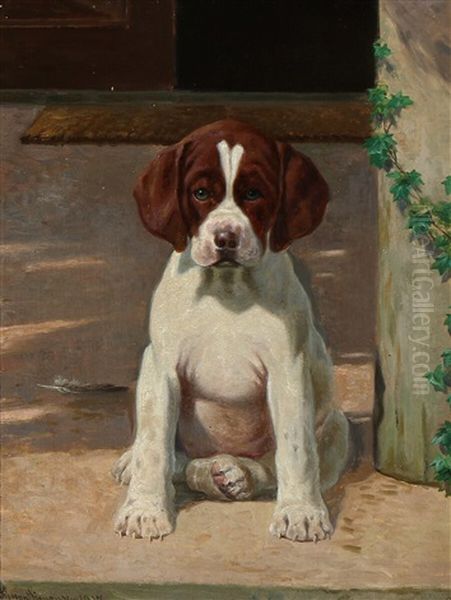 A Puppy - view 1