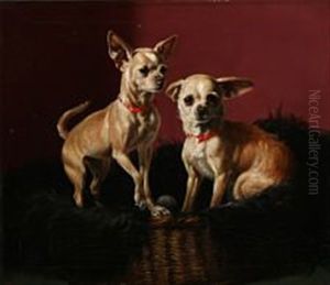 Two Attentive Chihuahua Dogs In A Basket