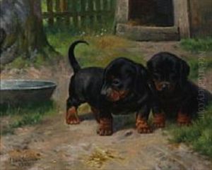 To Gravhundehvalpe
