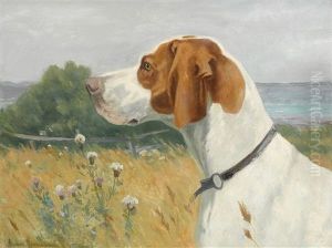Head Of A Pointer