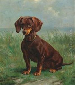A Dash Dog by Simon Simonsen