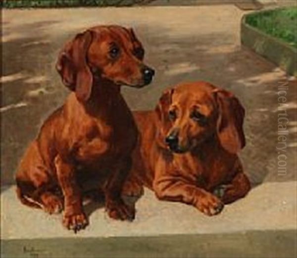 The Two Dachshund Puppies Grete Og Lady - view 1