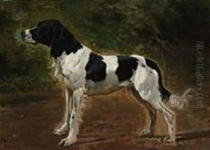 Rollo