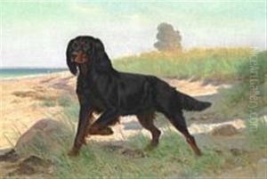 An Irish Setter On The Beach