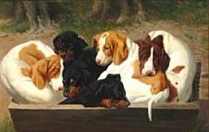 Puppies