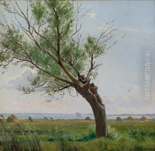 Studie Einer Esche Im Wind Vor Sommerlicher Fjordlandschaft - view 1