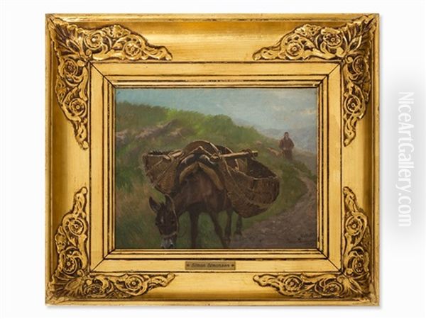 Donkey With Farmer - view 1