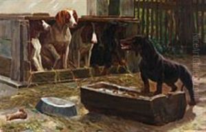 Fve Dogs Watching A Furious Dachshund