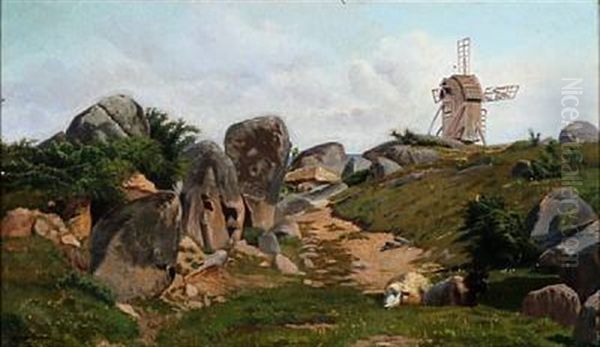 Stenet Landskab Med Faar - view 1