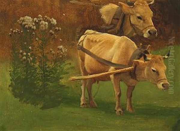 A Study Of Cows In A Field - view 1