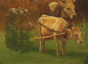 A Study Of Cows In A Field