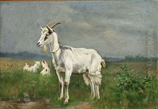 Grazing Goats - view 1