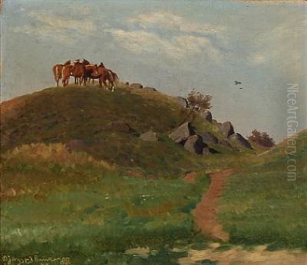 Fra Bjergsted Bakker - view 1
