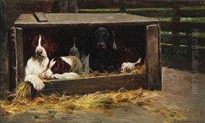The Dogs Are Resting