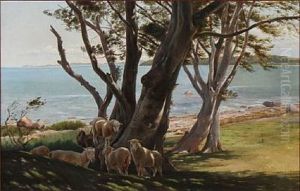 Coastal Scene From Bramsnaes With Sheep Seeking Shade Under Old Trees