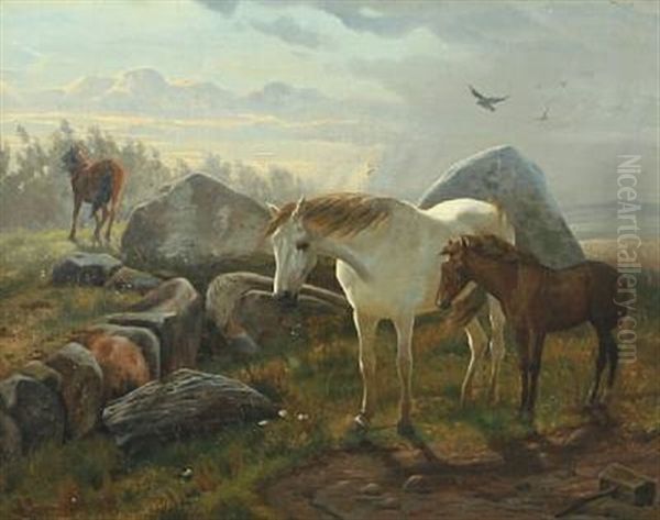Wild Horses - view 1