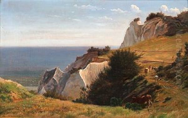 Summer Idyll At Moens Klint In Denmark - view 1