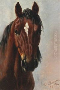 Portrait Of A Horse Portrait Of A Horse