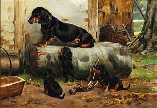A Peaceful Moment. Out Of Reach From The Puppies - view 1
