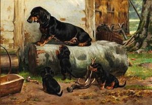 A Peaceful Moment. Out Of Reach From The Puppies by Simon Simonsen