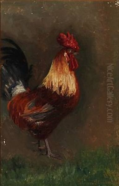 A Rooster - view 1