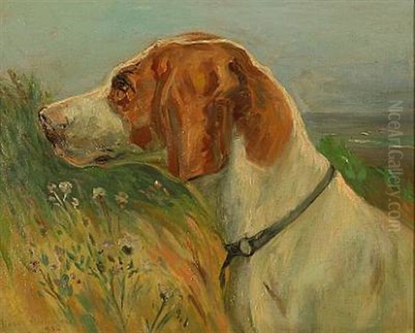 A Hunting Dog - view 1