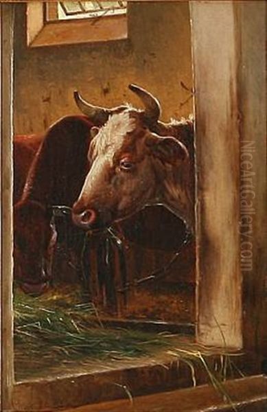 Koer I Stalden (cows In The Barn) - view 1