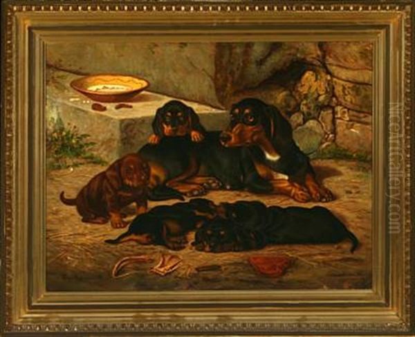 Dax With Puppies - view 1