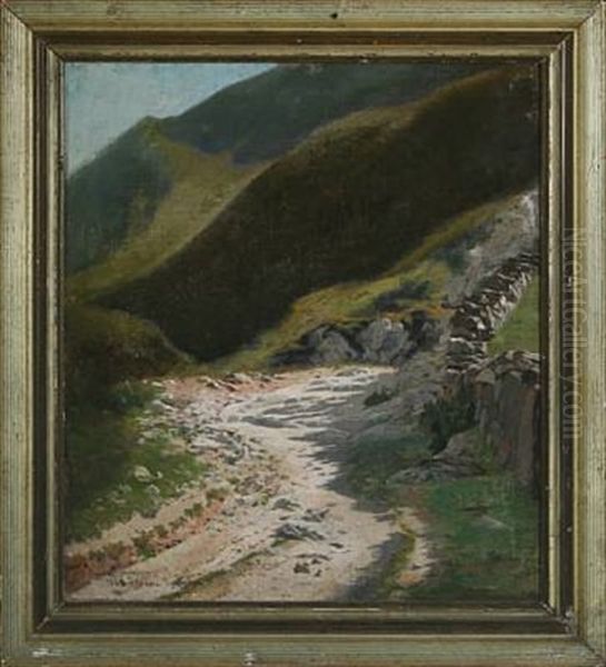 From The Pyrenees A Sunny Day - view 1