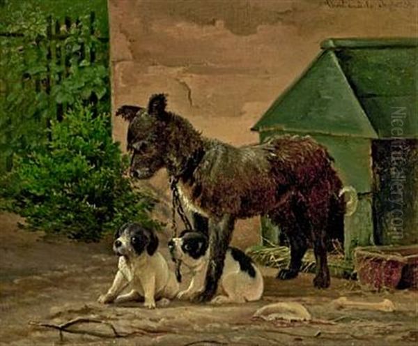 Dog With Puppies - view 1
