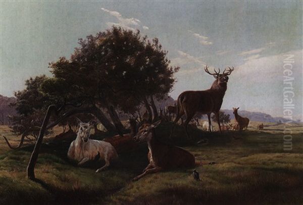 Stag And Does In A Landscape - view 1