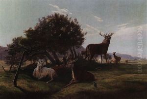 Stag And Does In A Landscape